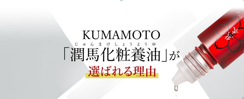 KUMAMOTO@ʏTCg